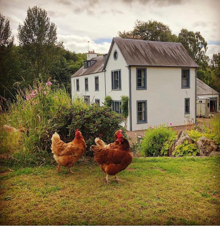Bedrule Old Manse B&B Hawick Eksteriør billede