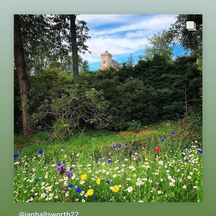 Bedrule Old Manse B&B Hawick Eksteriør billede